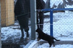 IMG_7950 (Mittel).JPG