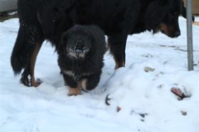 IMG_7955 (Mittel).JPG