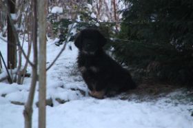 IMG_7963 (Mittel).JPG